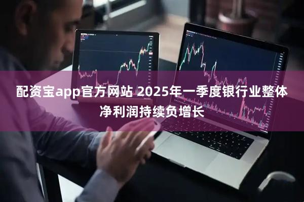 配资宝app官方网站 2025年一季度银行业整体净利润持续负增长
